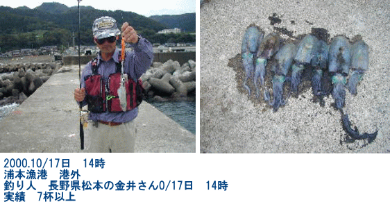 新潟県 海釣り エギング アオリイカ あおりイカ 直江津の釣り 上越の釣り 市振港 親不知港 姫川港 浦本港 鬼伏港 能生小泊港 名立港 有間川港 直江津港 新潟県 海釣り エギング アオリイカ あおりイカ 直江津の釣り 上越の釣り 市振港 親不知港 姫川港 浦本港 鬼伏港 能生小泊港 名立港 有間川港 直江津港