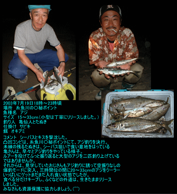 新潟の釣り ｅ投稿メール投稿 ごおづさん サーフアジよく釣れました 場所は姫川西堤防側砂浜にて投げサビキ 西頚城の釣り 直江津の釣り マリン ｍ