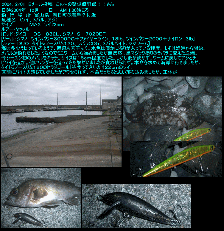 新潟の釣り 富山県 朝日町の海岸 こぉ の疑似餌野郎 さん 直江津港 西頚城の釣り 直江津の釣り マリン ｍ