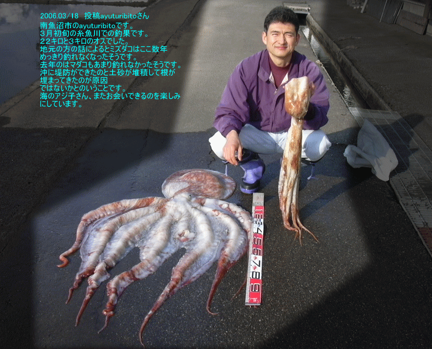 新潟釣り情報 ミズダコ フィッシング 投稿 Ayuturibito 新潟 22キロと3キロのオスでした 新潟の釣り情報 新潟釣り情報 ミズダコ フィッシング 投稿 Ayuturibito 新潟 22キロと3キロのオスでした 新潟の釣り情報