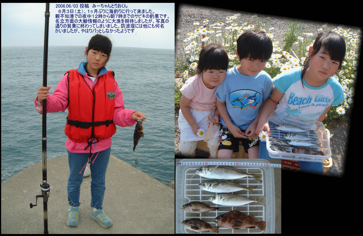 日本海 新潟県釣り情報 サビキ フィッシング 投稿 みーちゃんとりおくん 親不知港 新潟 親不知港釣り情報 日本海 新潟県釣り情報 サビキ フィッシング 投稿 みーちゃんとりおくん 親不知港 新潟 親不知港釣り情報