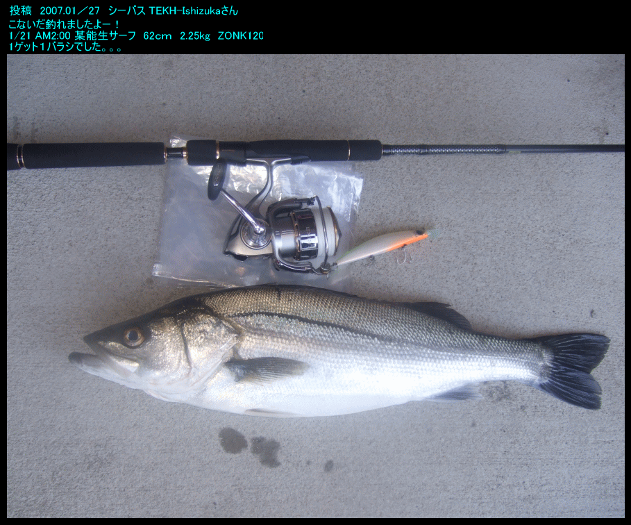 日本海 新潟県釣り情報 シーバス フィッシング 投稿 Takesi 能生海岸 糸魚川周辺 新潟 新潟の釣り情報